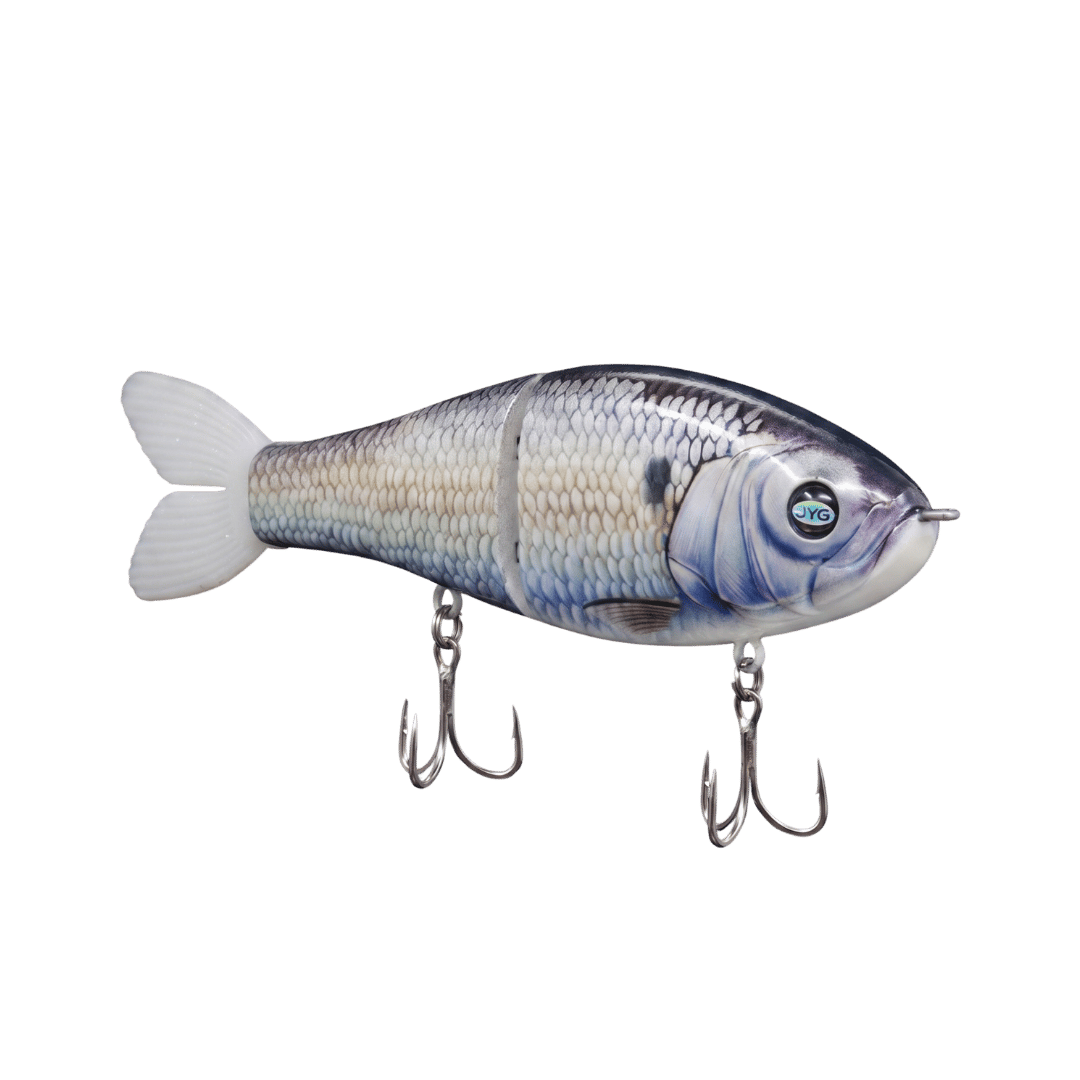 GLYDE â AMERICAN SHAD