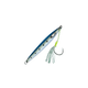 Sardine