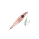 Squid