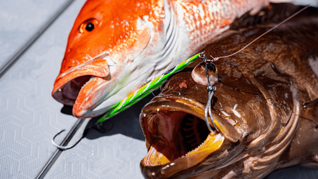 Mastering Slow Pitch Jigging in the Bayous of Louisiana with JYG Pro Fishing Slow Pitch Jigs