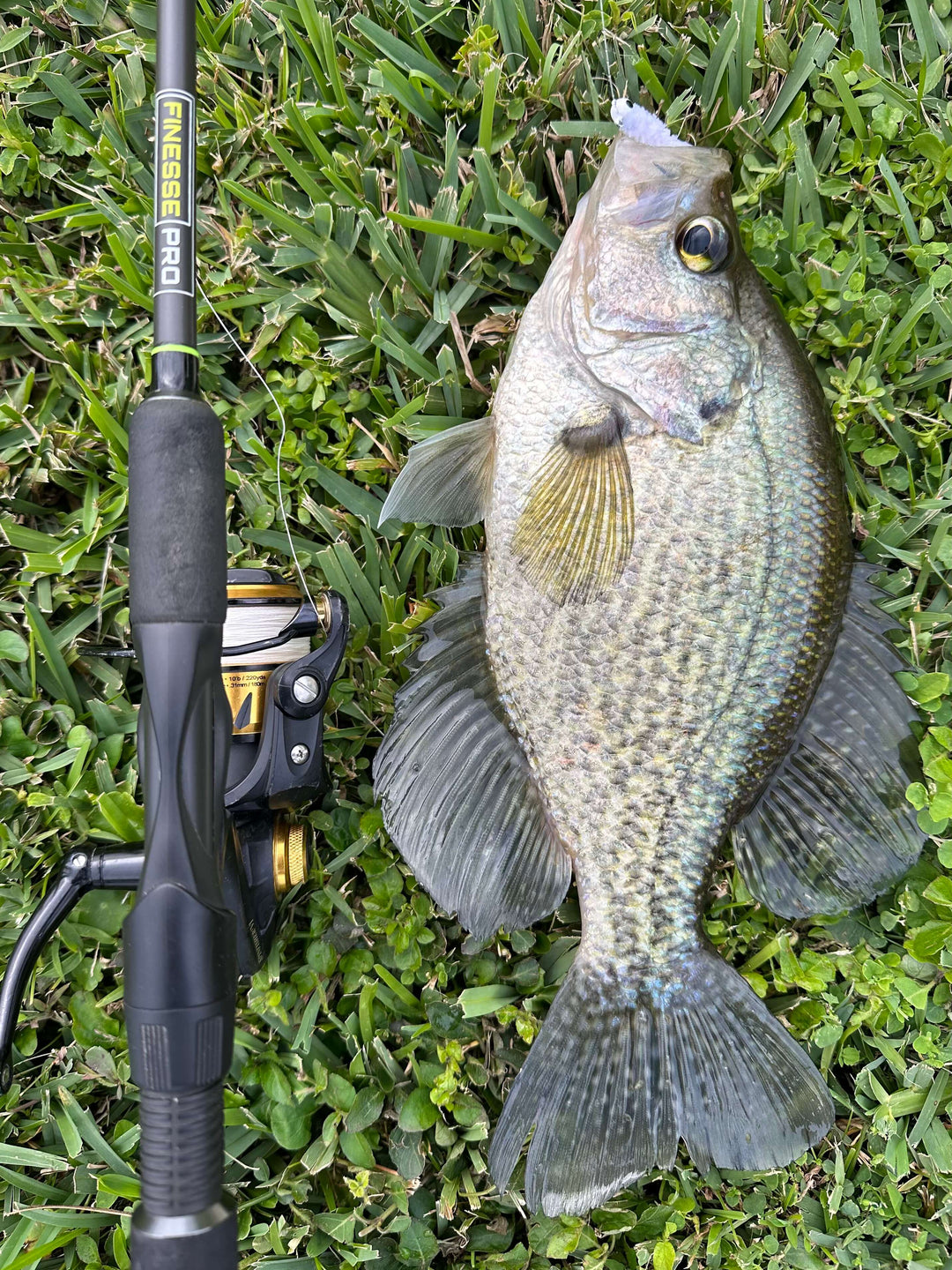 Week of 12/18/23-12/24/23 Fishing Report