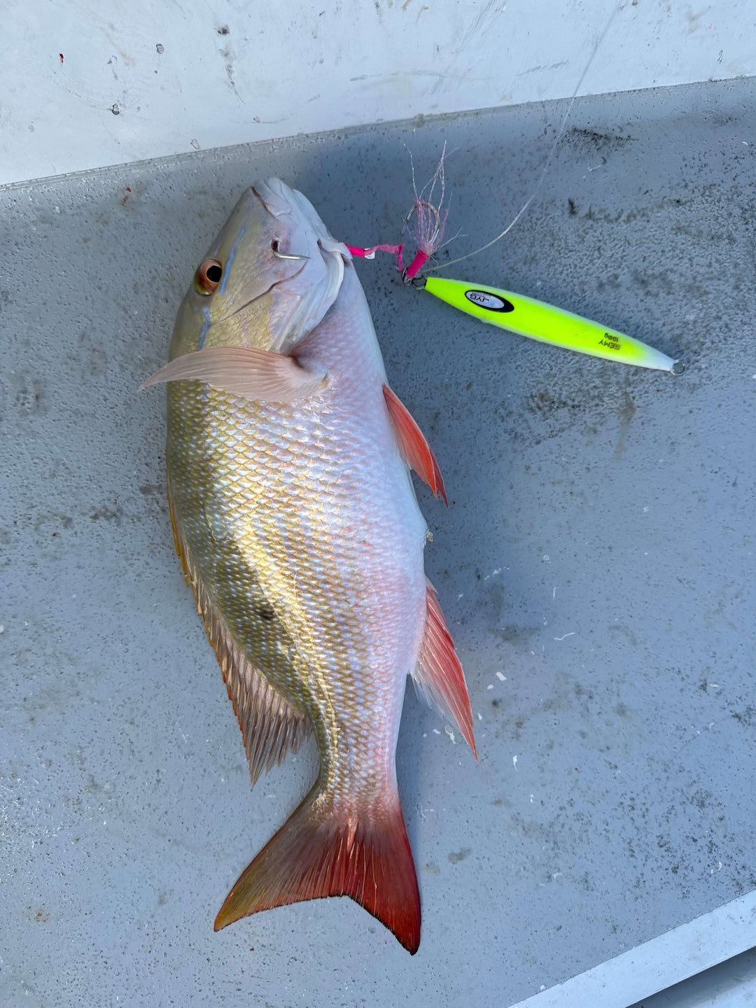 Week of 12/4/23-12/10/23 Fishing Report