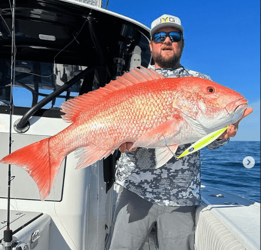 So you can teach a dog new tricks!