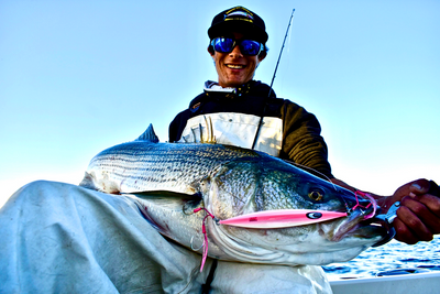 STRIPED BASS - SLOW PITCH JIGGING