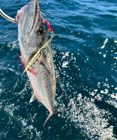 Week of 11/6/23-11/12/23 Fishing Report
