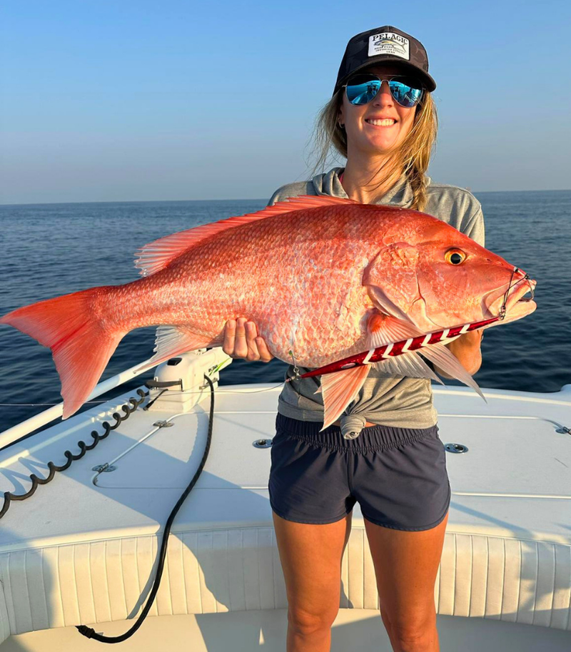 RED SNAPPER