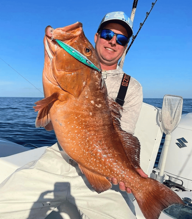 RED GROUPER
