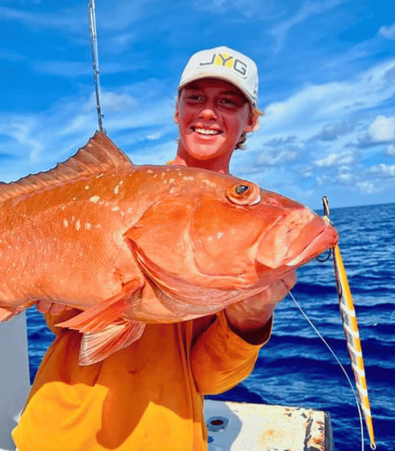 red grouper