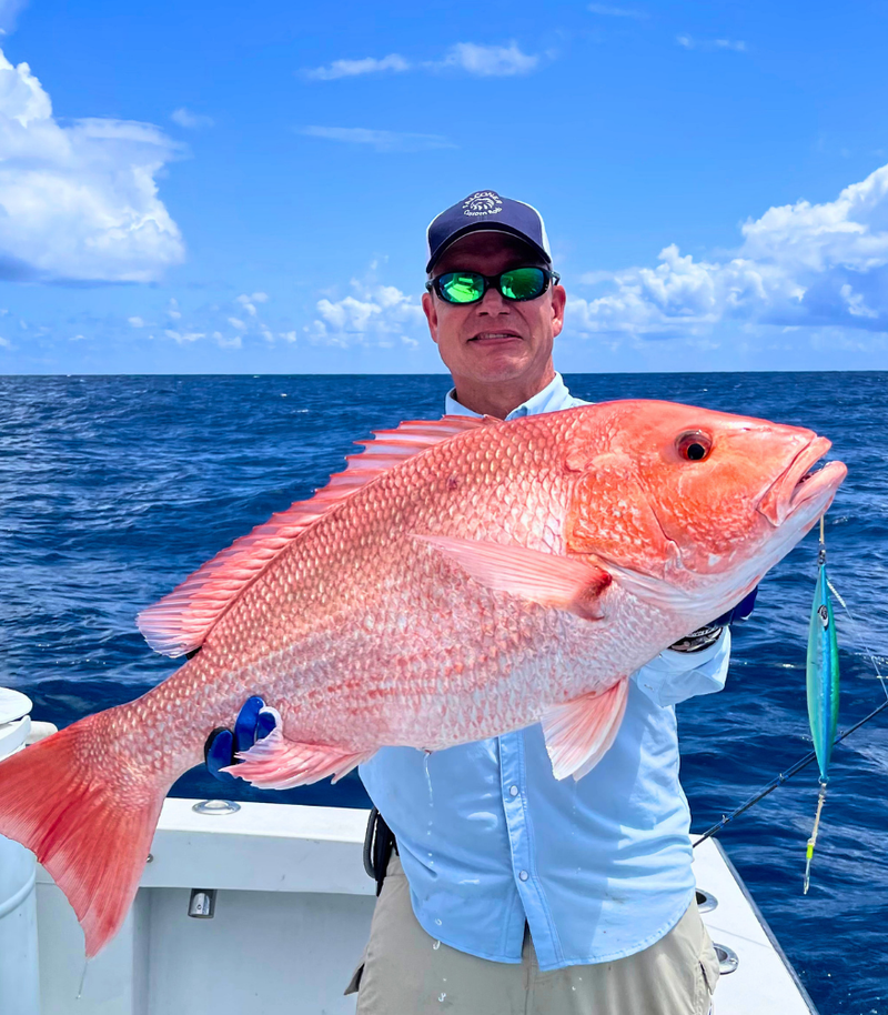 RED SNAPPER