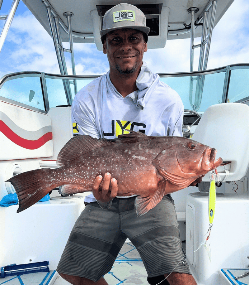 RED GROUPER