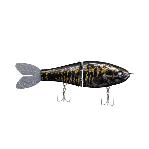 GLYDE — SUWANNEE BASS