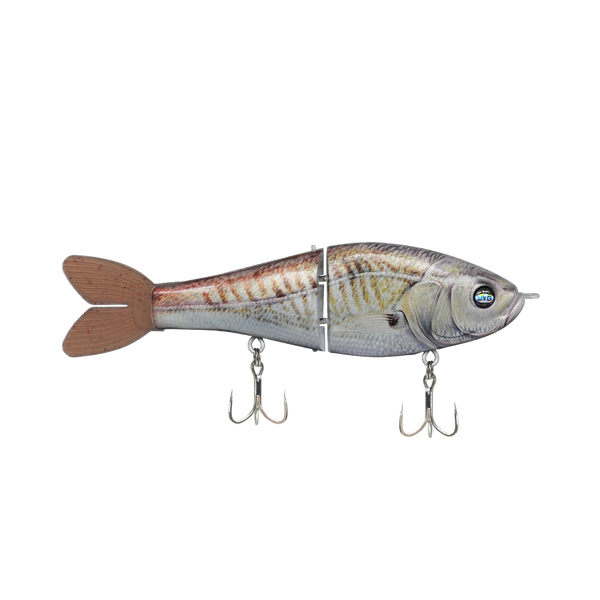 GLYDE — CROAKER