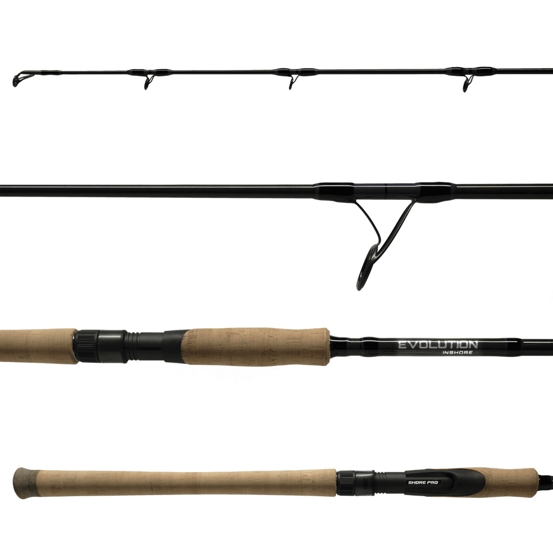 EVOLUTION INSHORE