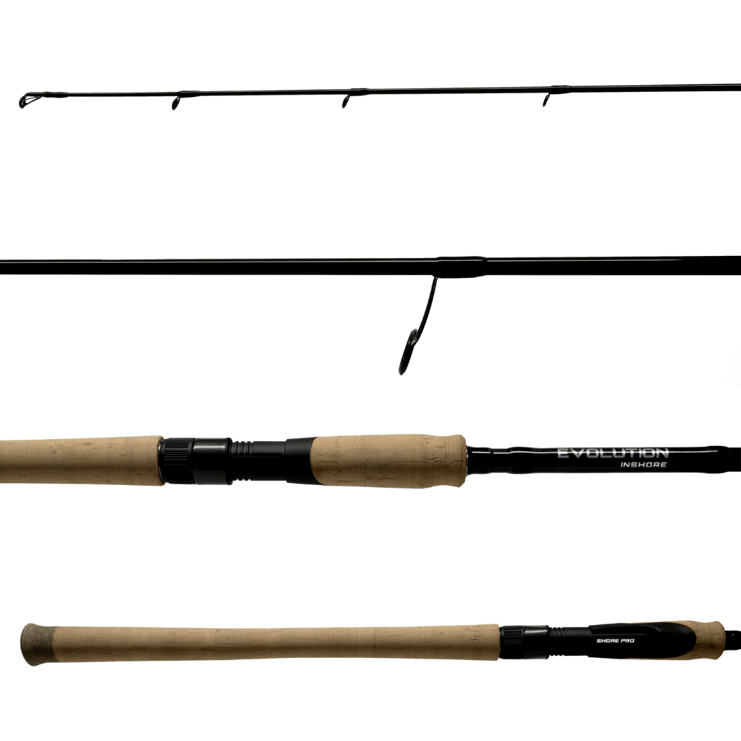 Evolution Inshore