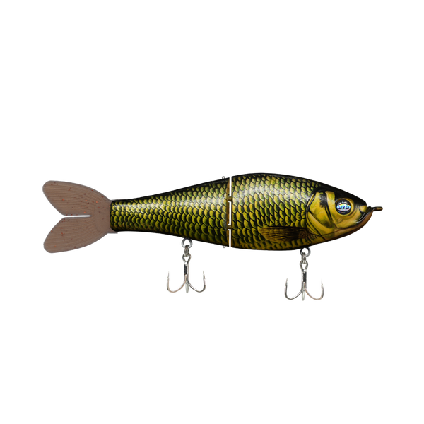 GLYDE — GOLDEN SHINER