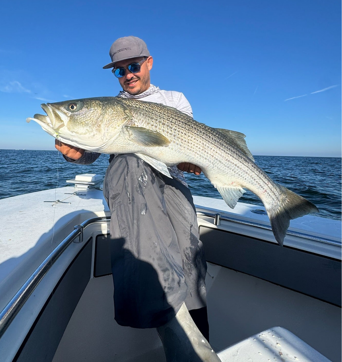 Striper rods