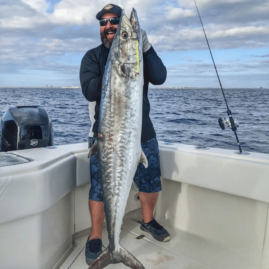 Kingfish jigs