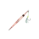 Squid