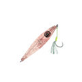 Squid
