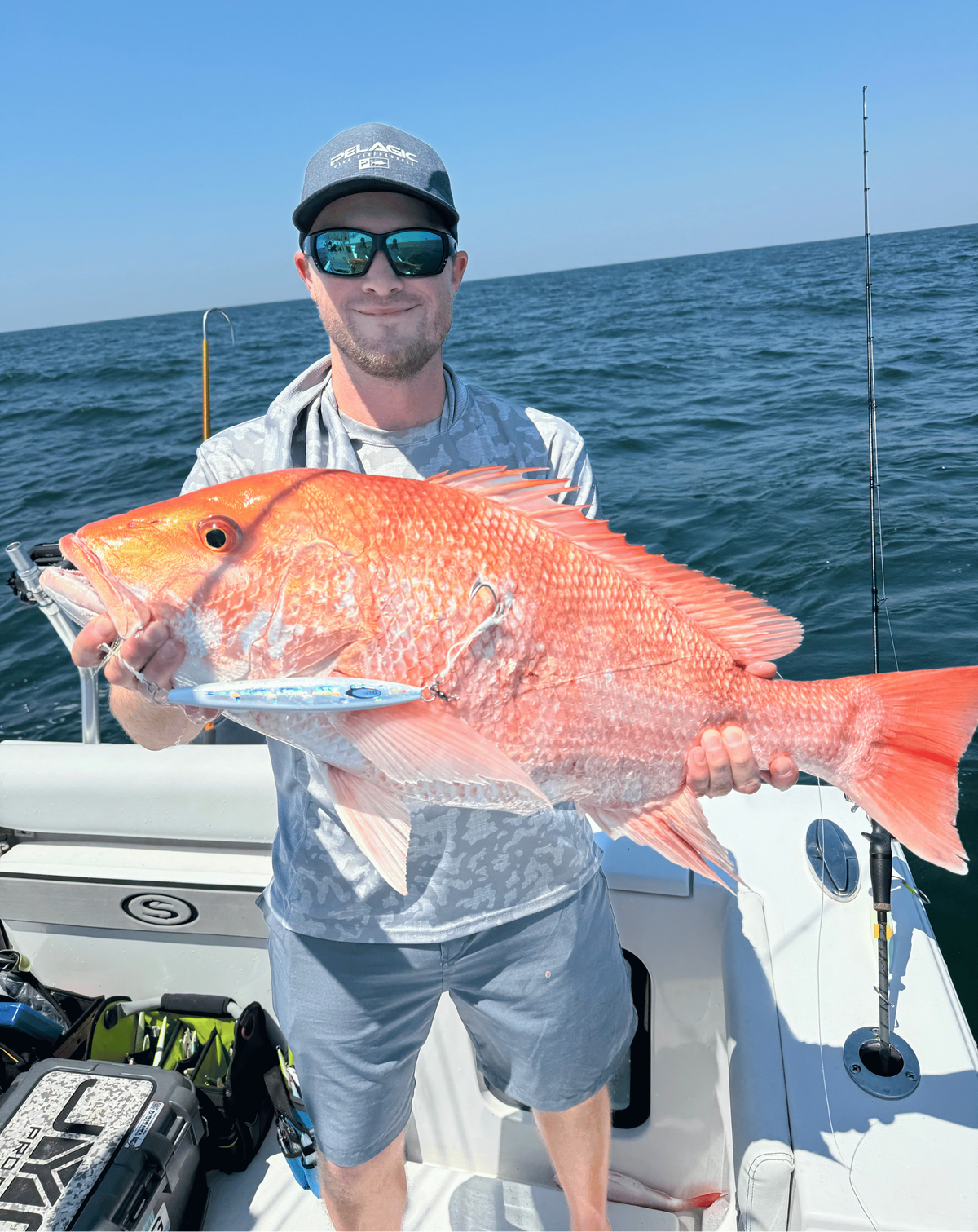 Snapper rods