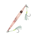 Squid
