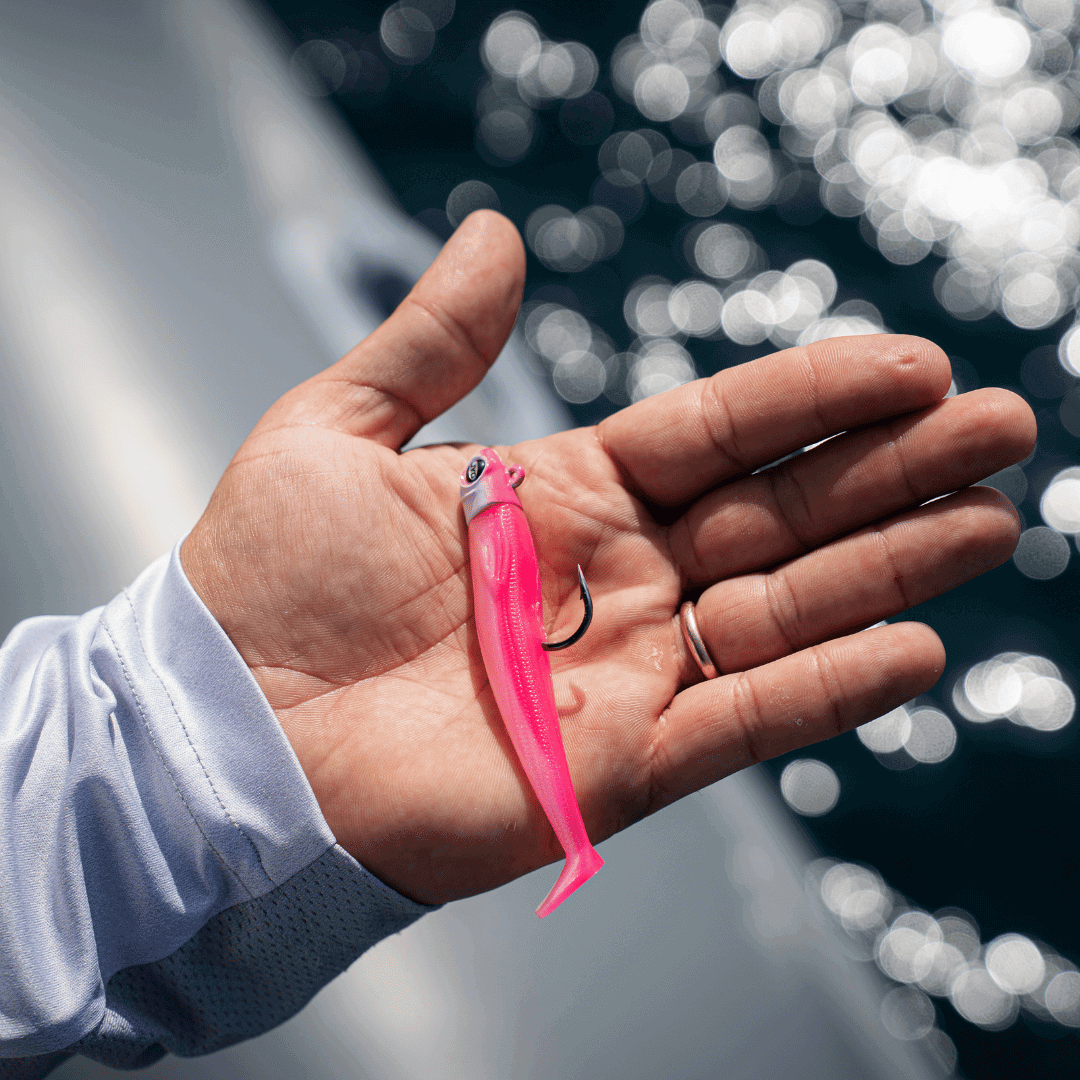 Angler holding a rigged pink paddle tail swimbait on his hand