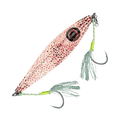 Squid