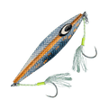 Yellowtail