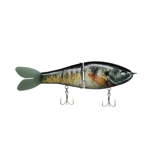 GLYDE — BLUEGILL
