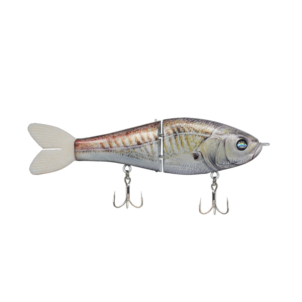 GLYDE — CROAKER