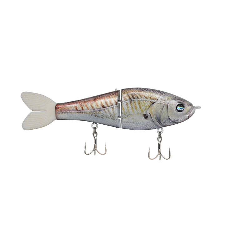 JYG Pro GLYDE 8 inch resin glidebait in Croaker color