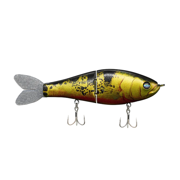 GLYDE — PEACOCK BASS