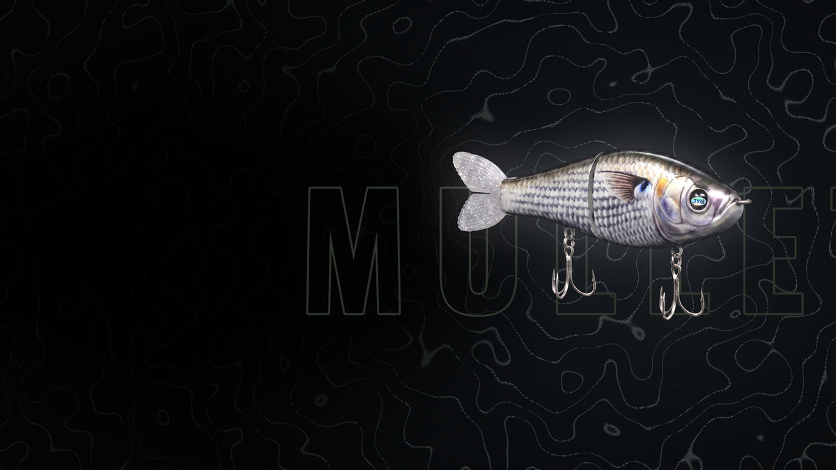 GLYDE glide bait in Mullet colour on a black depth-chart background — the run is on, match it
