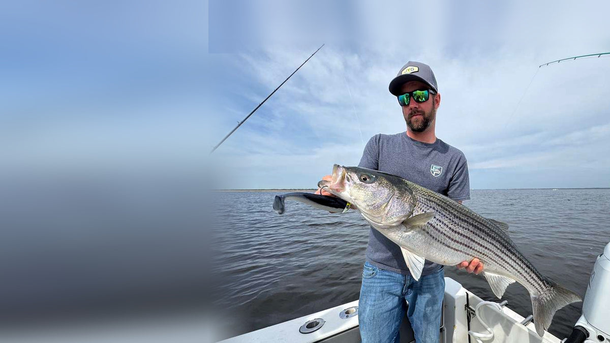 Angler holding a striped bass caught on a JYG Chubby swimbait