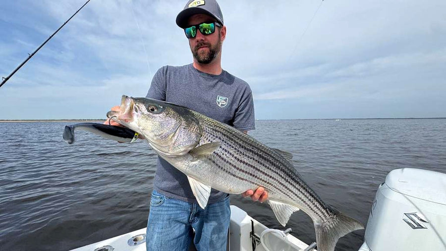 Angler holding a striped bass caught on a JYG Chubby swimbait