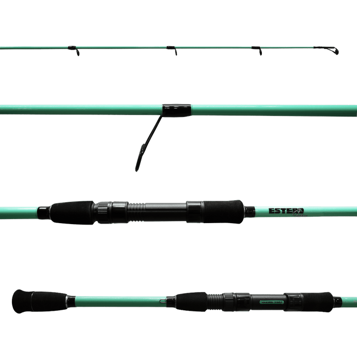ESTERO INSHORE