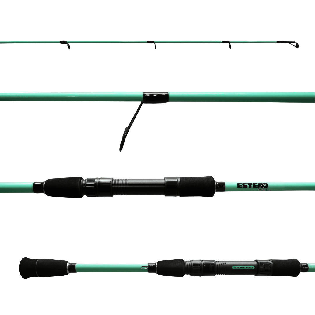 ESTERO INSHORE