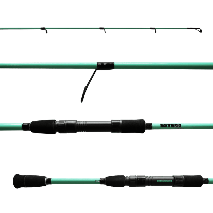 ESTERO INSHORE